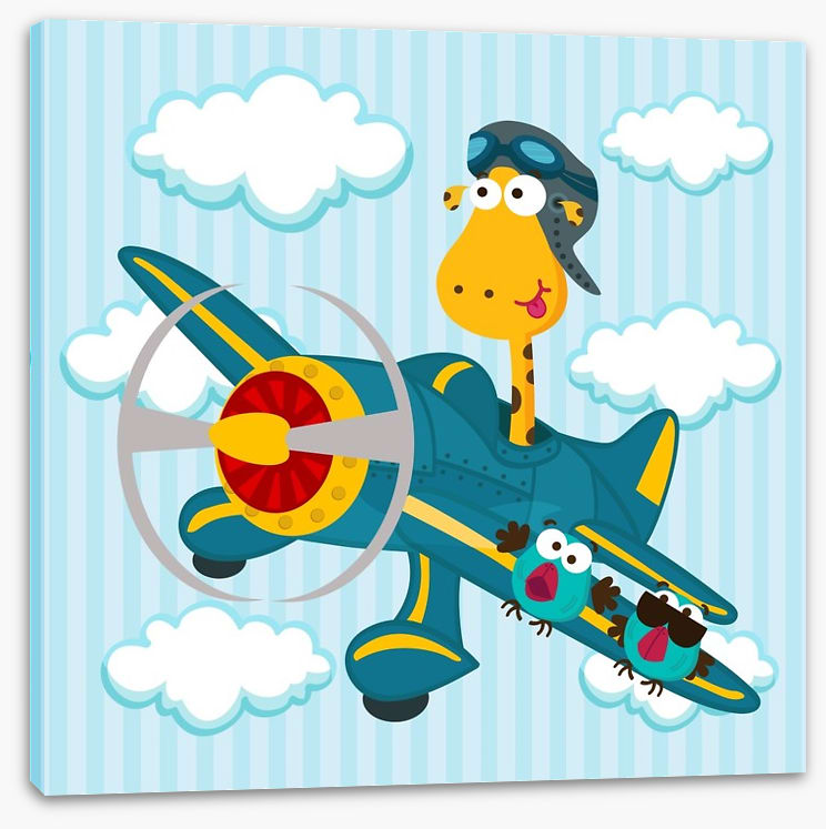 Pilot giraffe