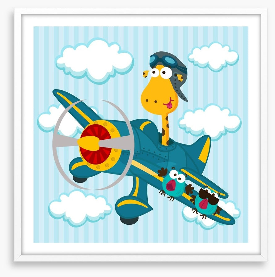 Pilot giraffe