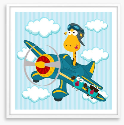 Pilot giraffe