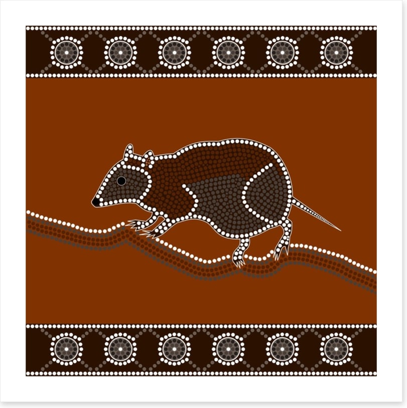 Musky rat-kangaroo