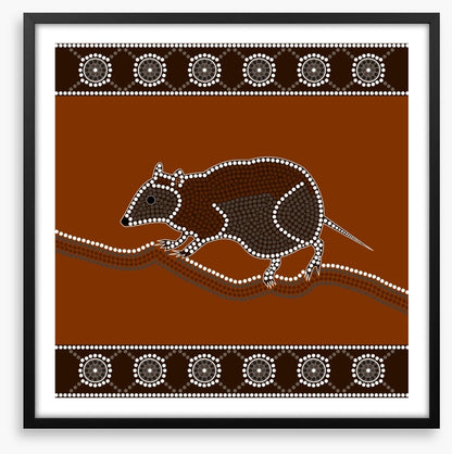 Musky rat-kangaroo