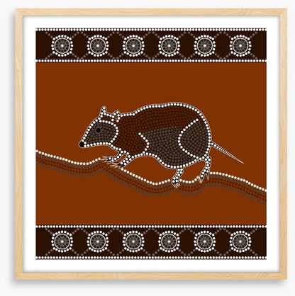 Musky rat-kangaroo
