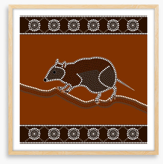Musky rat-kangaroo