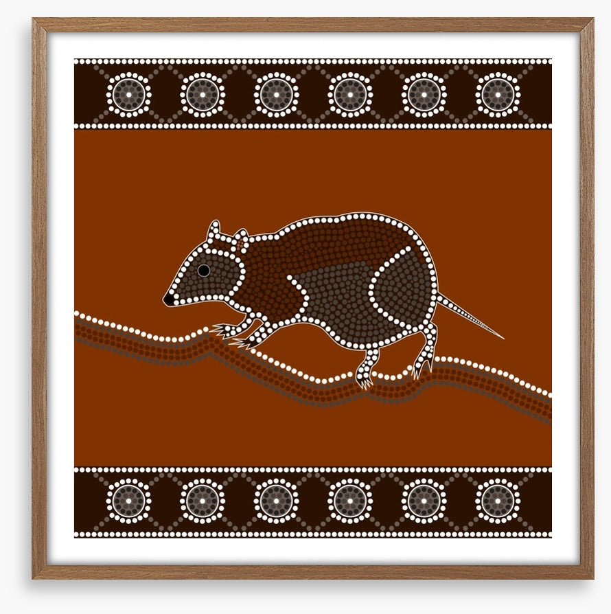 Musky rat-kangaroo