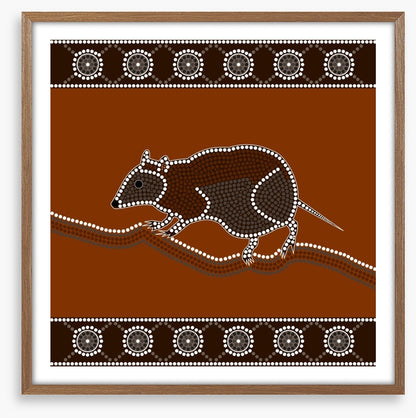 Musky rat-kangaroo