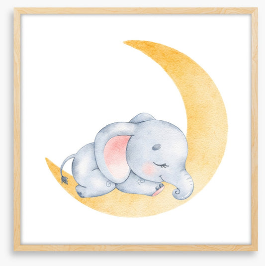Elephant moon