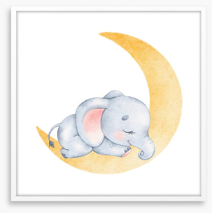 Elephant moon