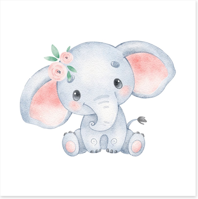 Elephant ears
