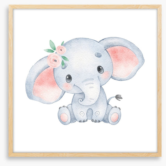 Elephant ears