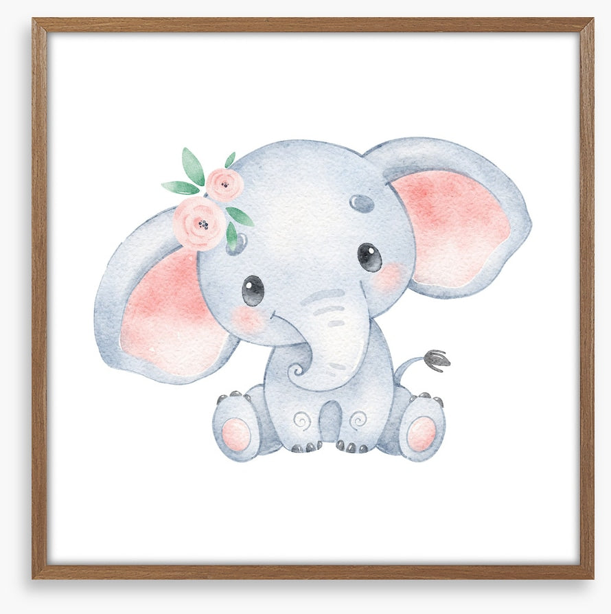 Elephant ears