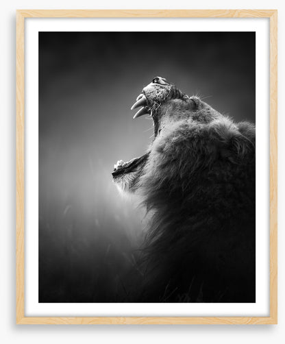 Roar