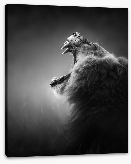 Roar