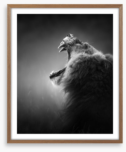 Roar