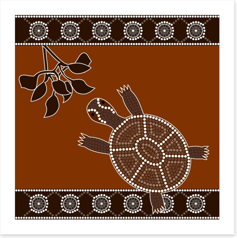 Turtle and leaves