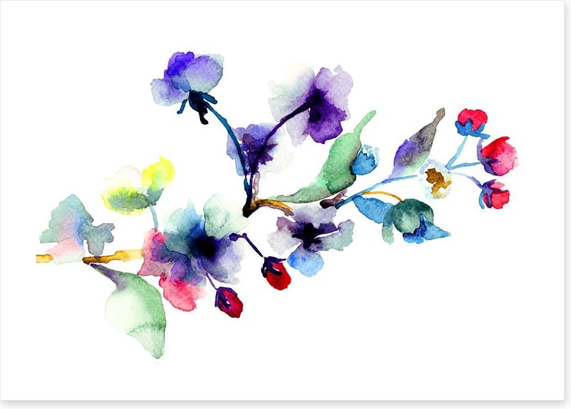 Blossoming branch