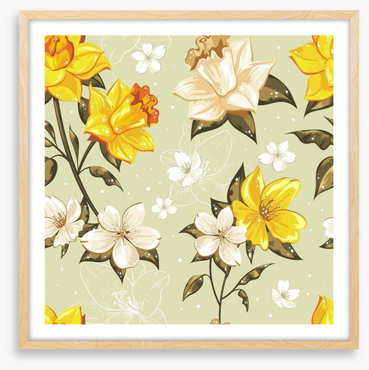 Golden narcissus