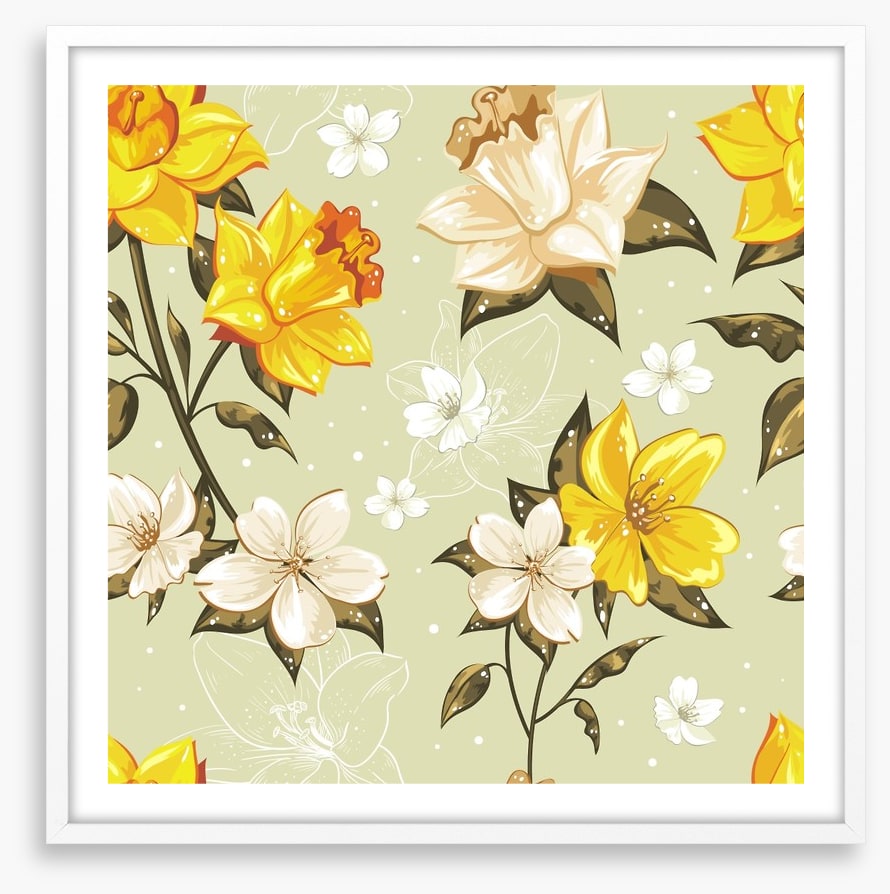 Golden narcissus