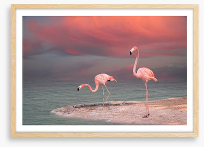 Pink flamingo sunset