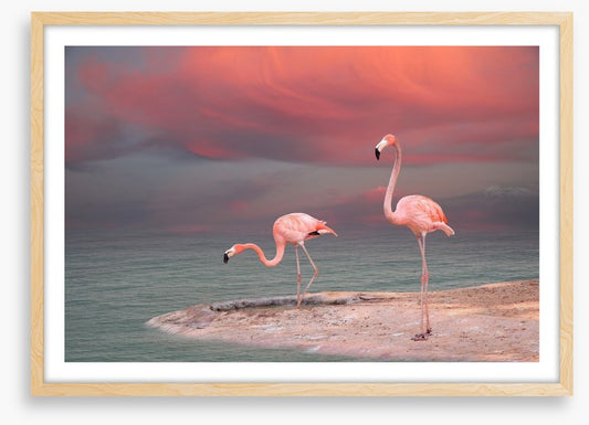 Pink flamingo sunset