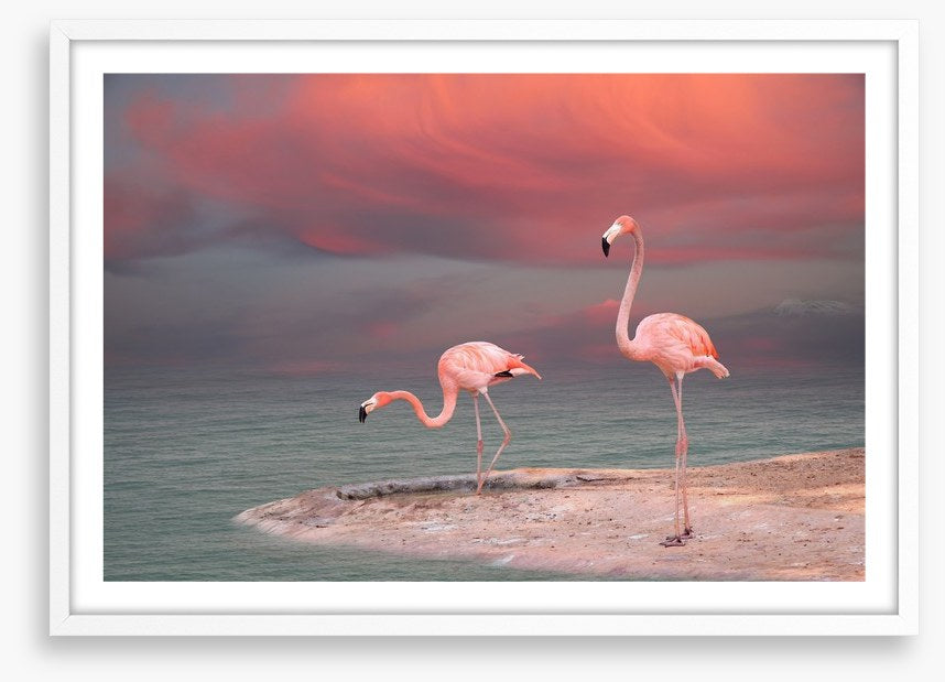 Pink flamingo sunset