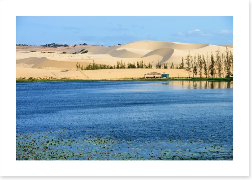 Desert