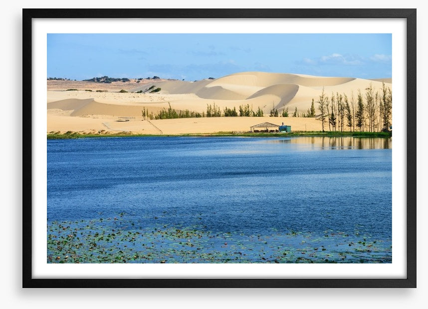 Desert