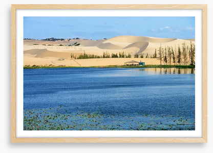 Desert