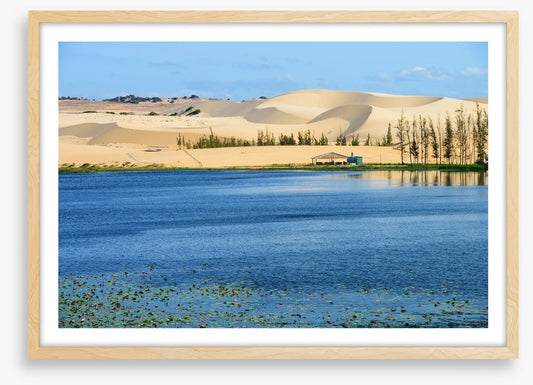 Desert