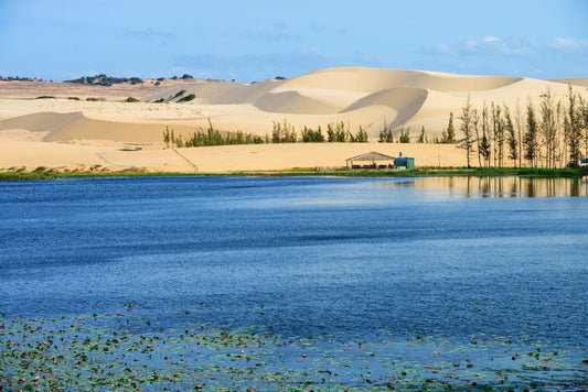 Desert