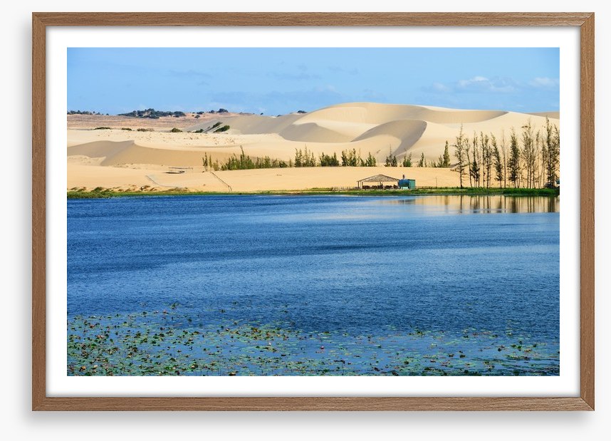 Desert
