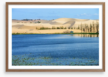 Desert