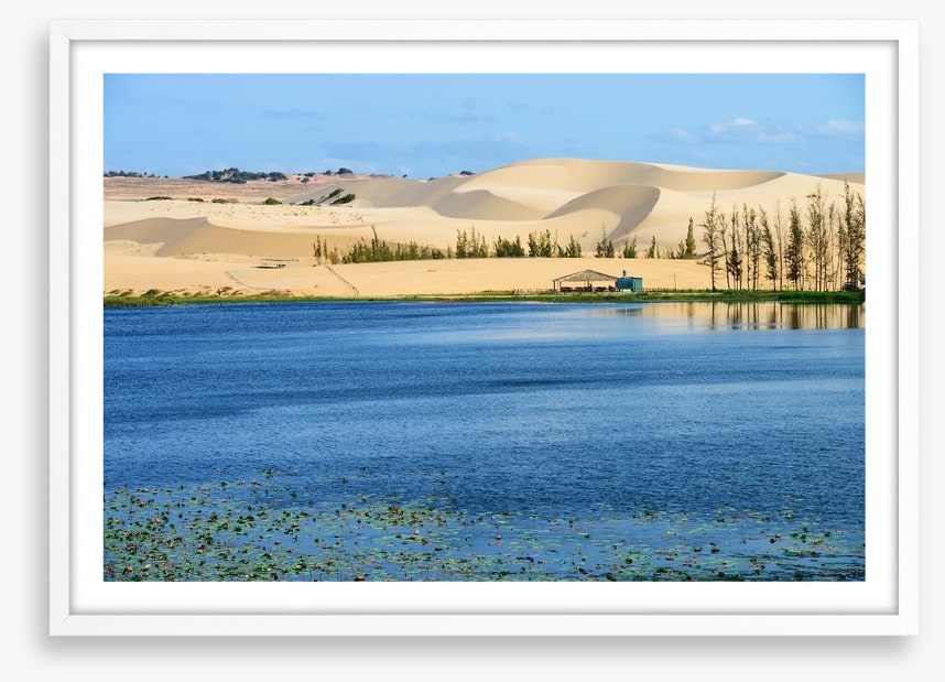Desert