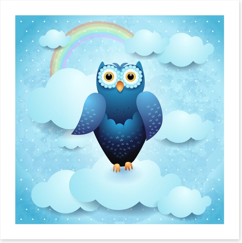 Owls