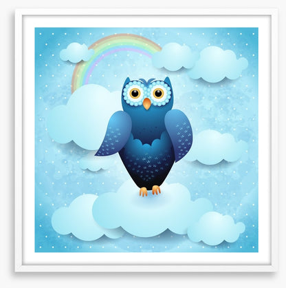 Owls
