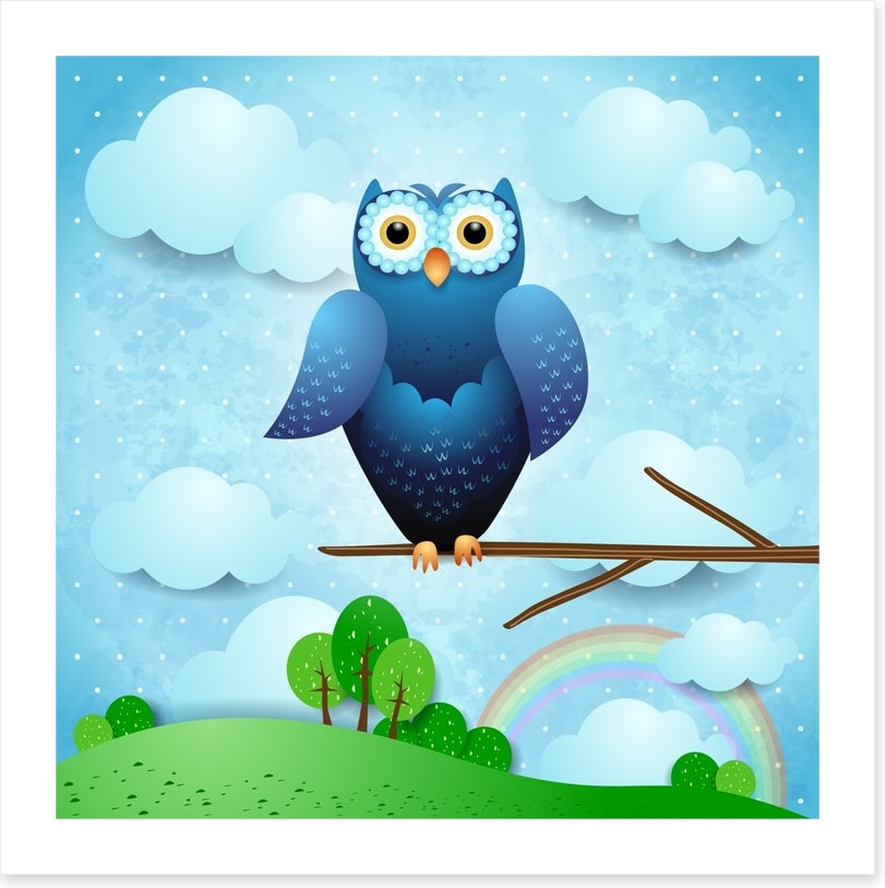 Owls