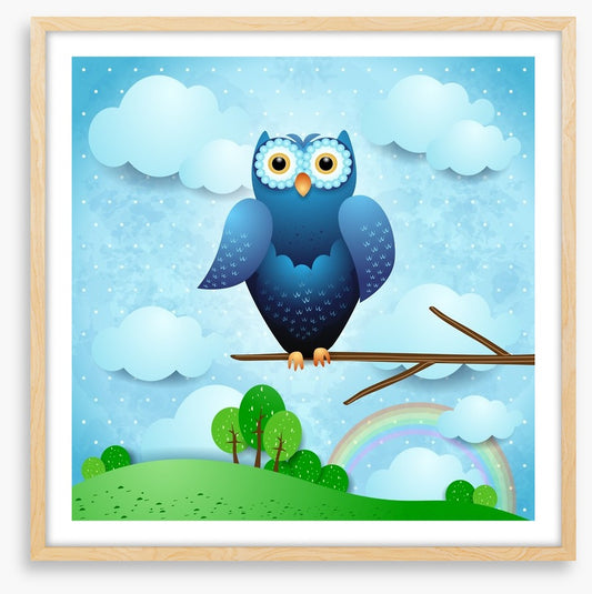 Owls