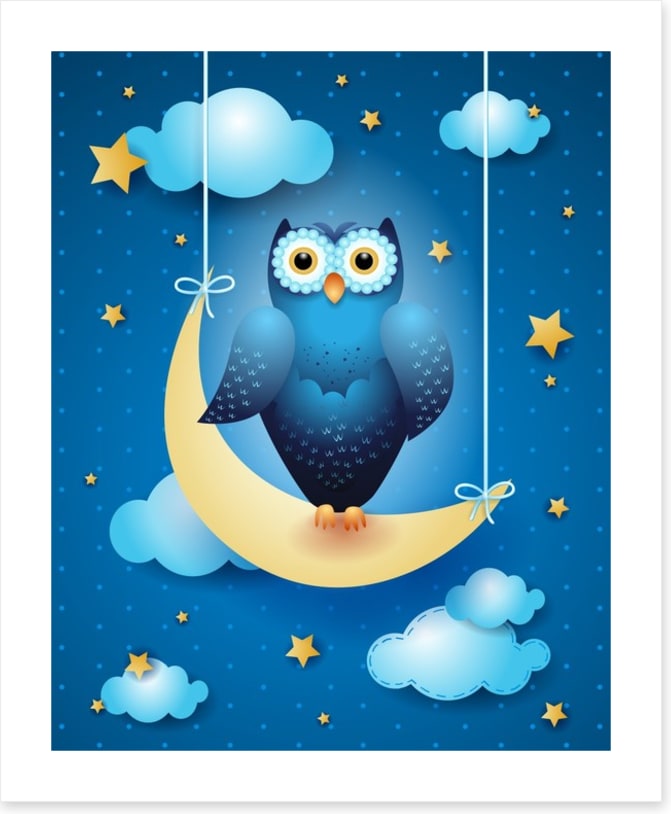 Owls