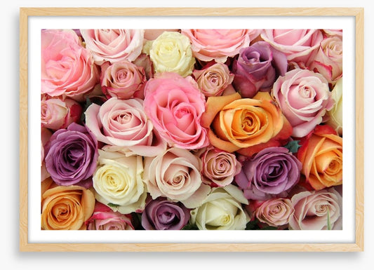 Mixed pastel roses