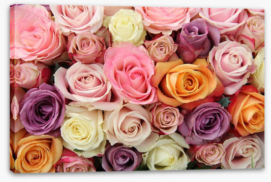 Mixed pastel roses