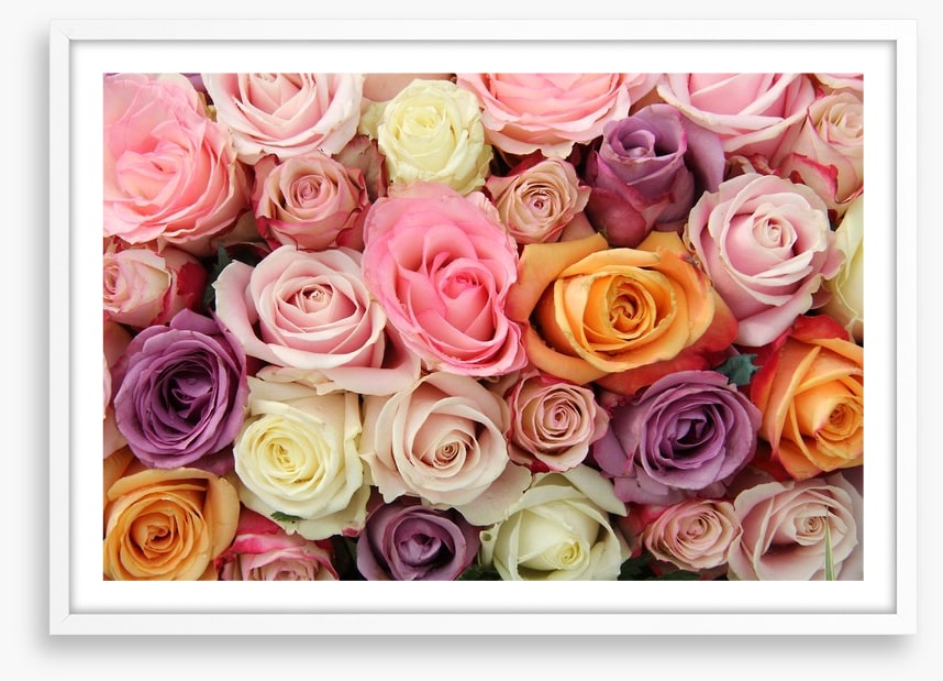 Mixed pastel roses