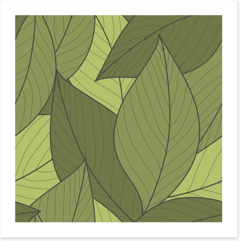 Moss leaves