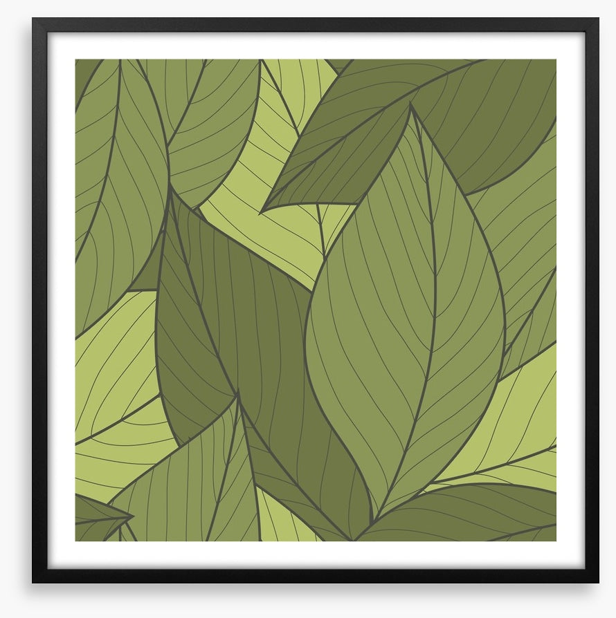 Moss leaves