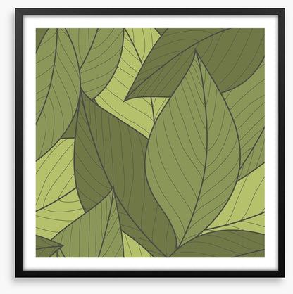 Moss leaves