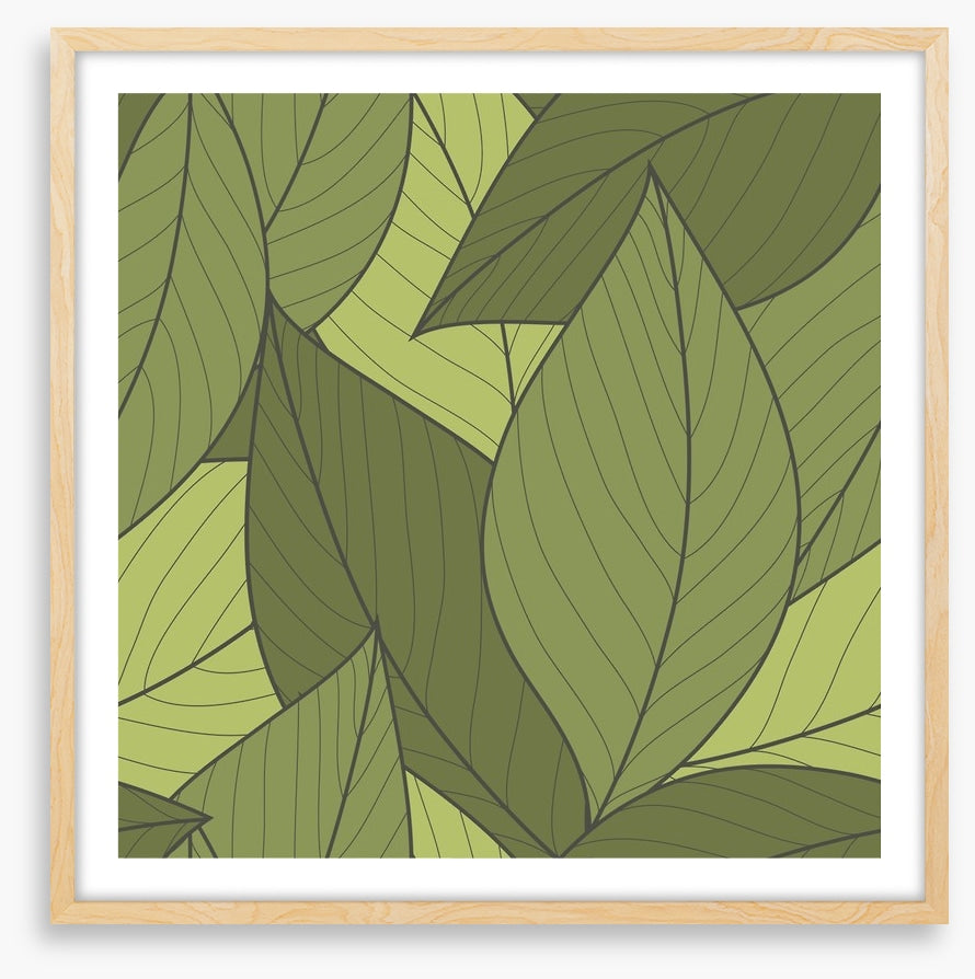 Moss leaves