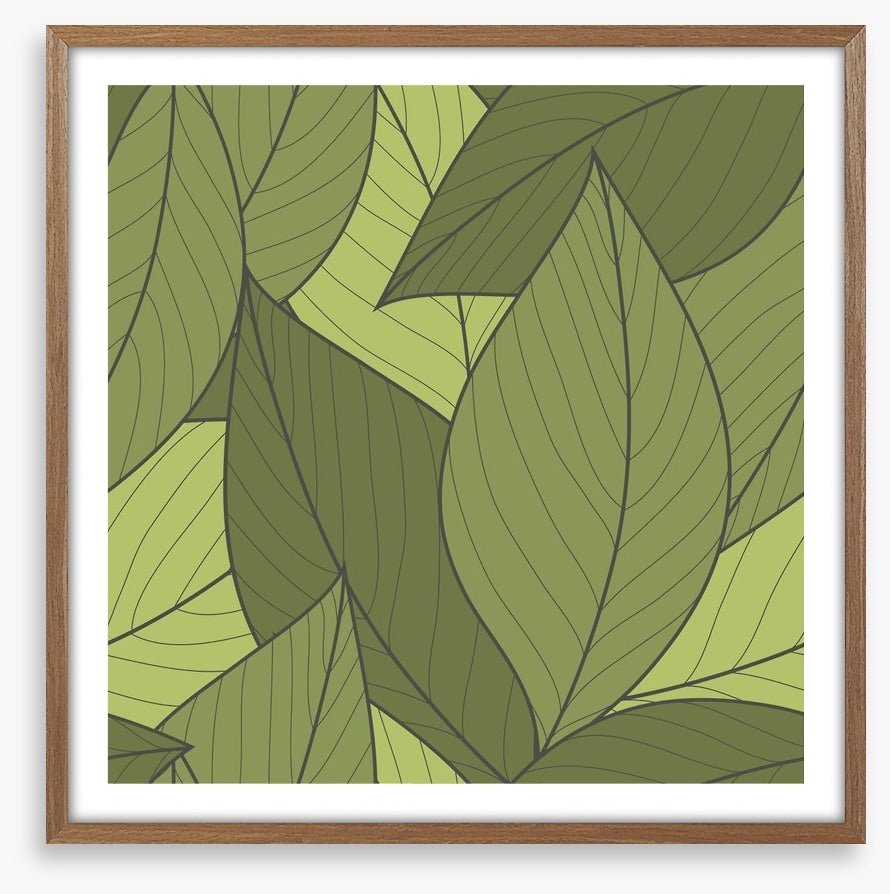 Moss leaves