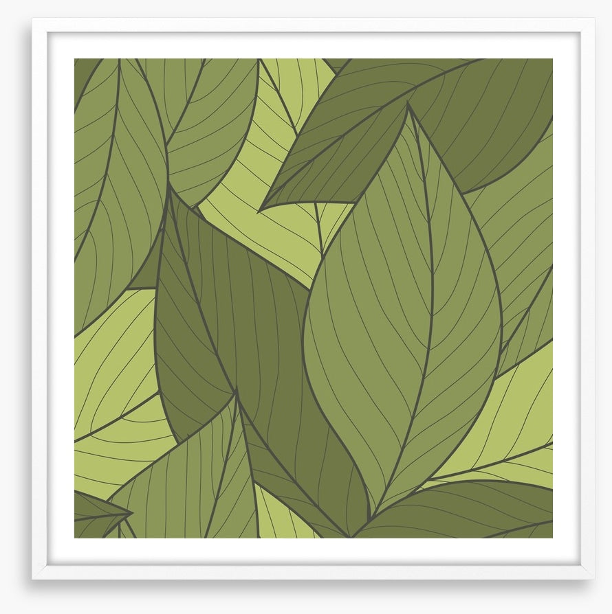 Moss leaves