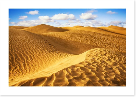 Desert