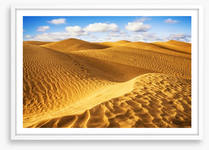 Desert