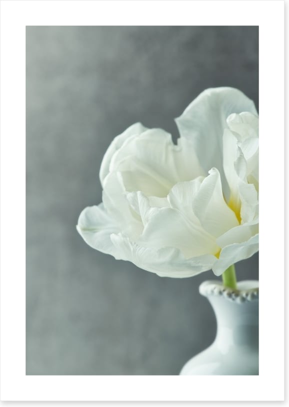 Fragile simplicity