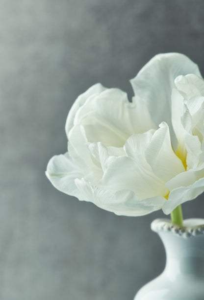 Fragile simplicity